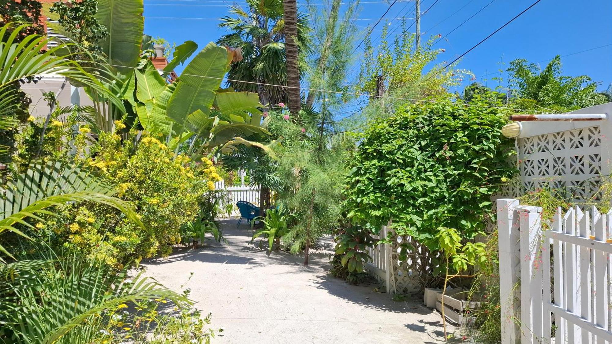 Amanda'S Place Casa Amancer - Sea View, Pool And Tropical Garden Caye Caulker Eksteriør billede