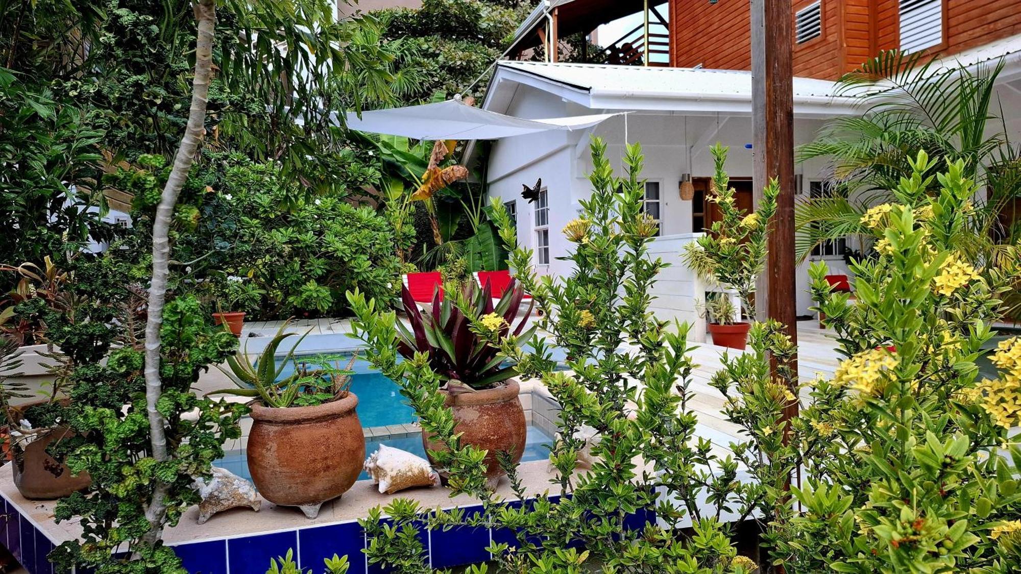 Amanda'S Place Casa Amancer - Sea View, Pool And Tropical Garden Caye Caulker Eksteriør billede