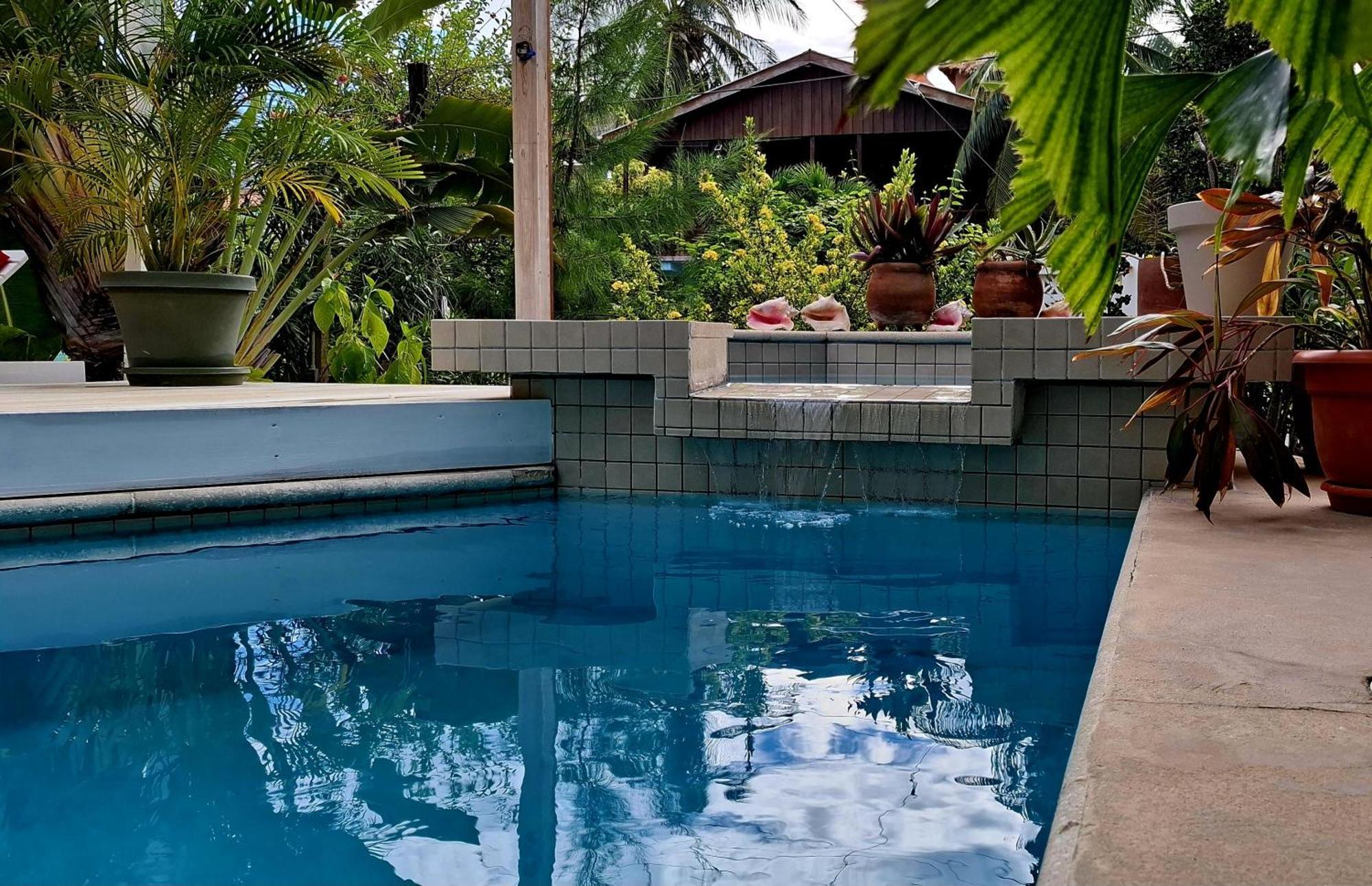 Amanda'S Place Casa Amancer - Sea View, Pool And Tropical Garden Caye Caulker Eksteriør billede